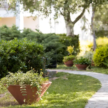 Akti Retzika エパノミ