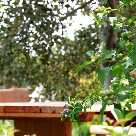 Hotel Akti Retzika Epanomí