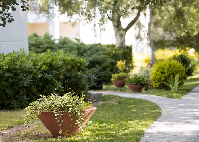 Akti Retzika 埃帕诺米