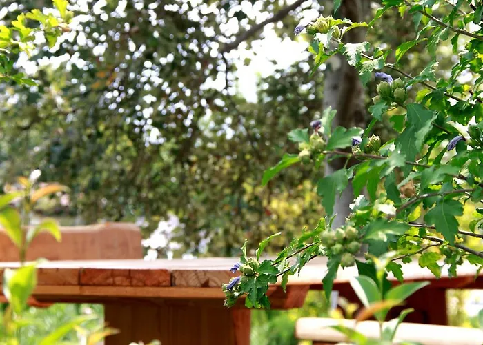 酒店 Akti Retzika 埃帕诺米